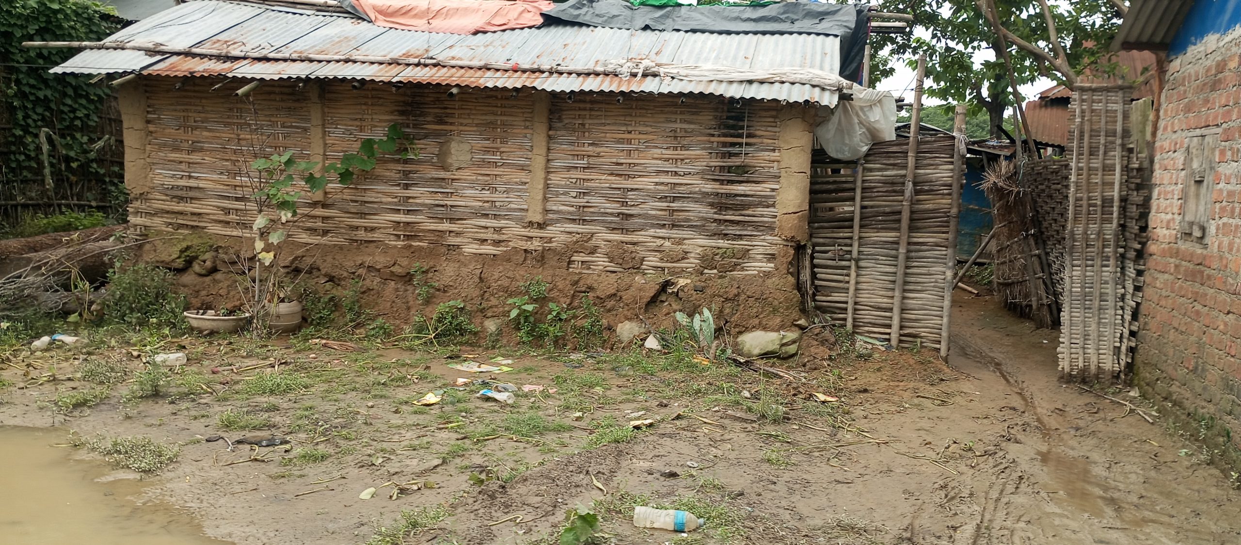 डाक्टर राई कुटिए 