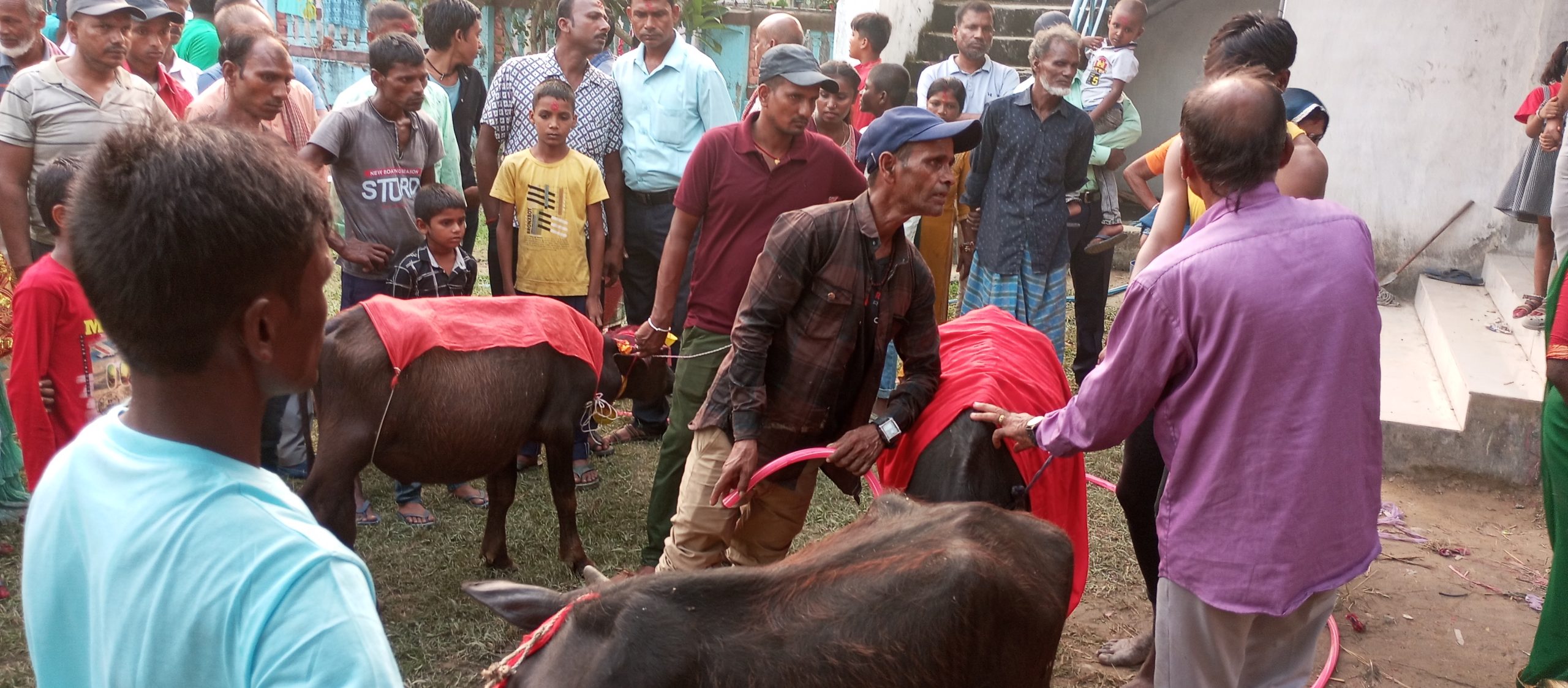बबियामा वलि