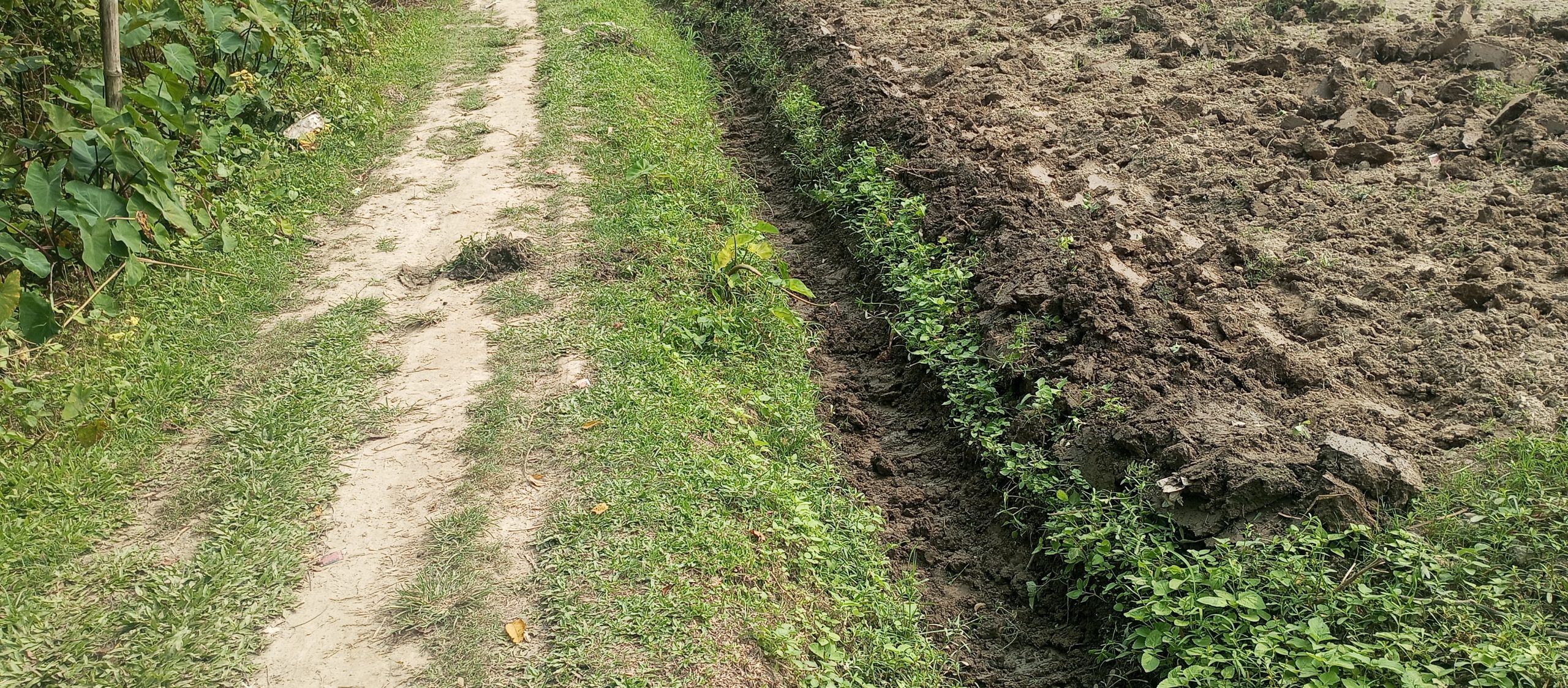 महिला बलात्कार गर्ने गिरफ्तार