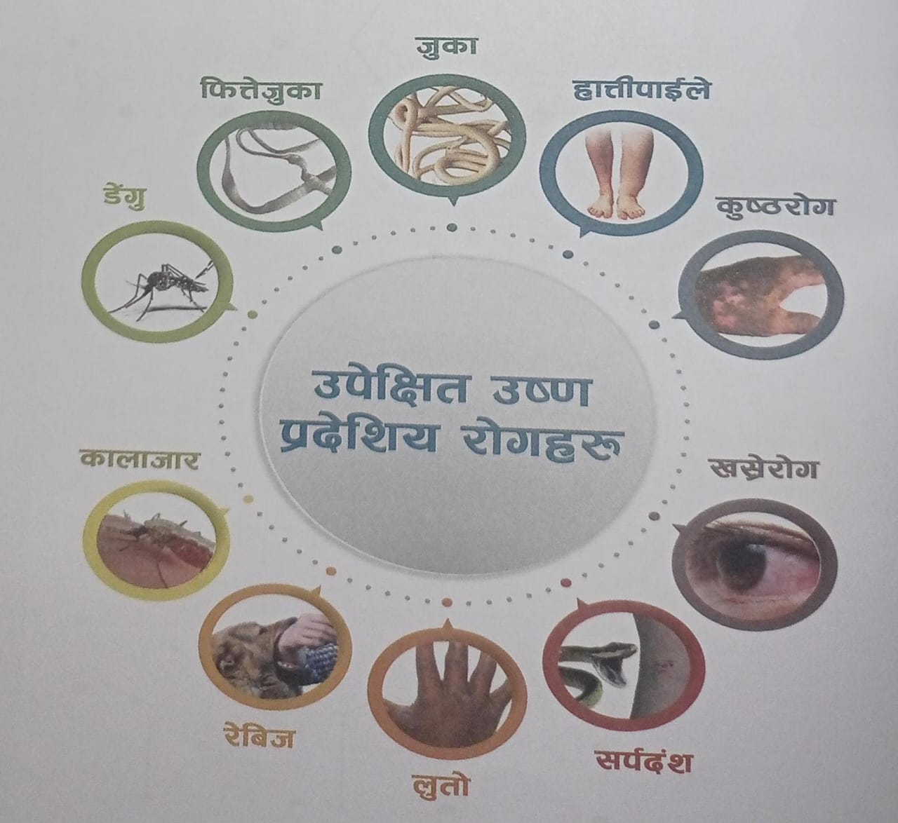 प्रधानमन्त्री केपी शर्मा ओली र चीनका राष्ट्रपति सी चिनफिङबिच  उच्चस्तरीय भेटवार्ता