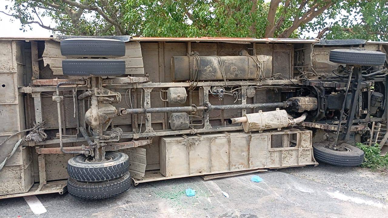 सर्पको टोकाईबाट एकको मृत्यु, अर्का एक घाईते