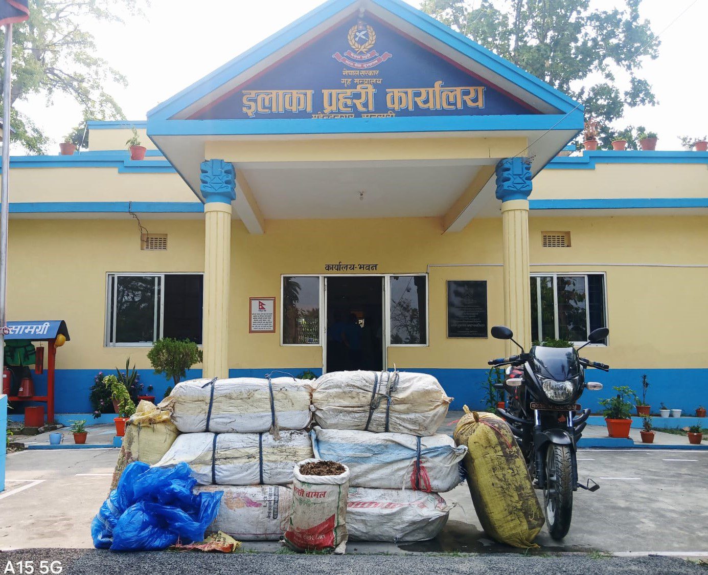 १७ हजार १५२.१४६ केजी गाँजा बरामद