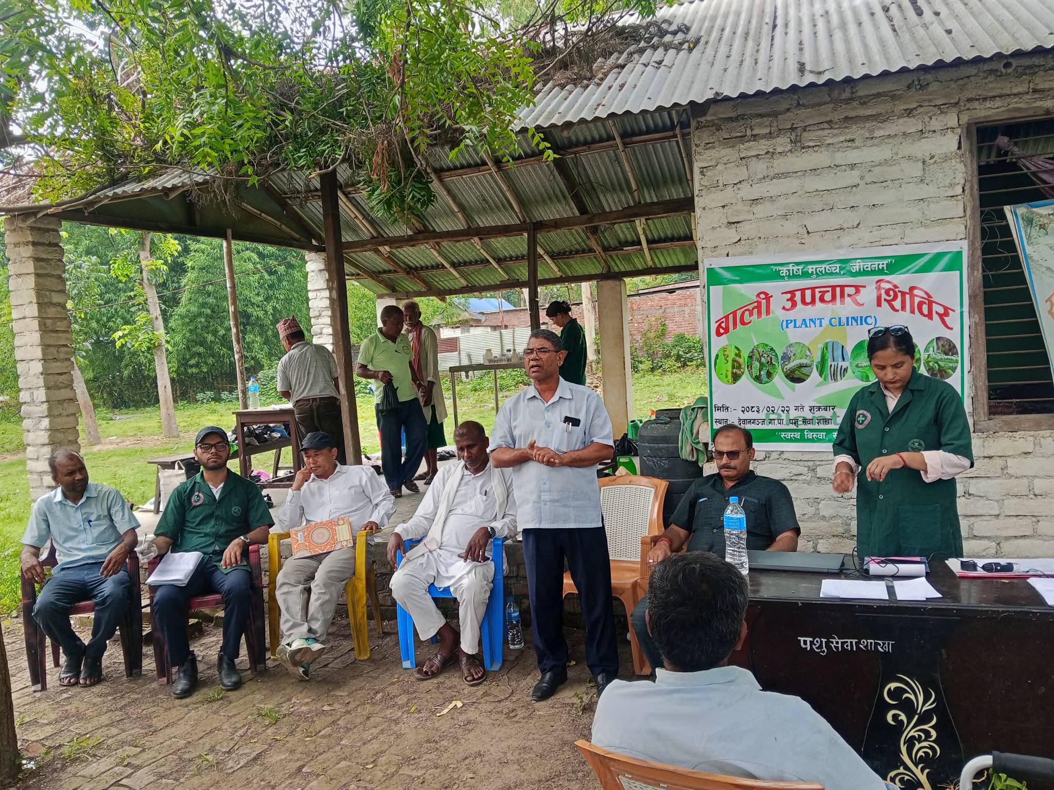 देवानगञ्जमा माटो शिविर तथा बाली उपचार कार्यक्रम
